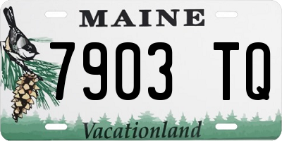 ME license plate 7903TQ