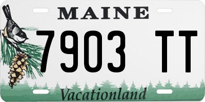 ME license plate 7903TT