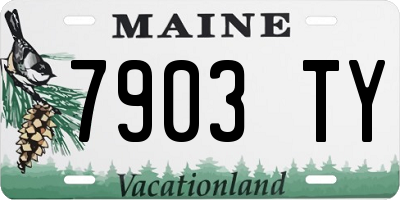 ME license plate 7903TY