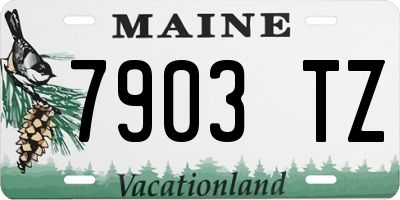 ME license plate 7903TZ