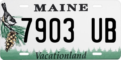 ME license plate 7903UB