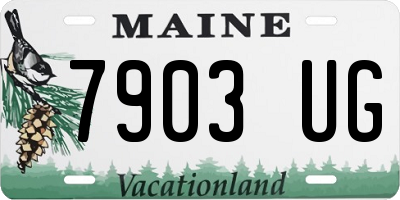 ME license plate 7903UG