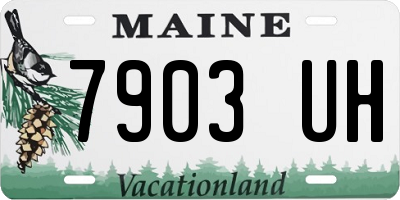 ME license plate 7903UH