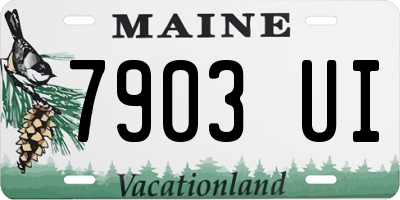ME license plate 7903UI
