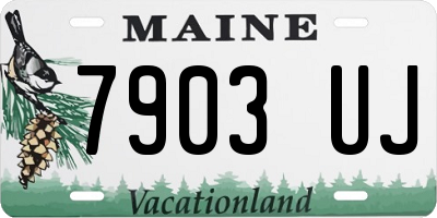ME license plate 7903UJ