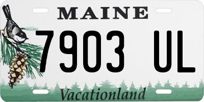 ME license plate 7903UL