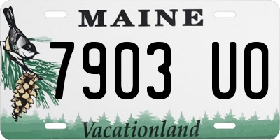 ME license plate 7903UO