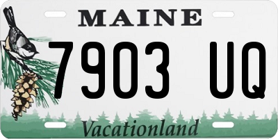 ME license plate 7903UQ