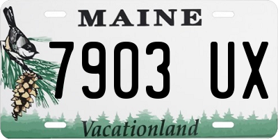 ME license plate 7903UX