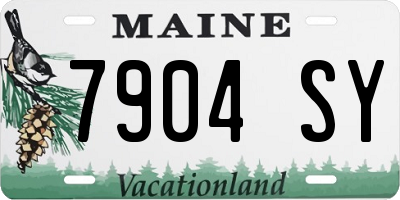 ME license plate 7904SY