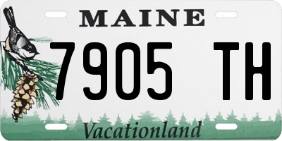 ME license plate 7905TH