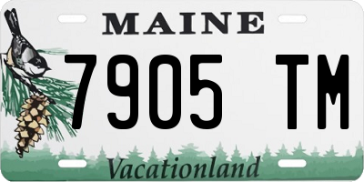 ME license plate 7905TM
