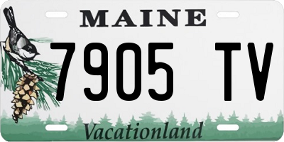 ME license plate 7905TV