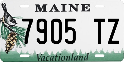 ME license plate 7905TZ