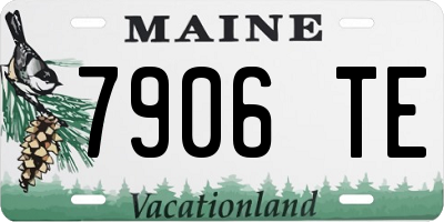 ME license plate 7906TE