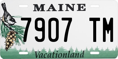 ME license plate 7907TM