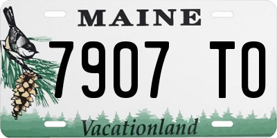 ME license plate 7907TO