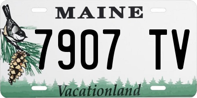 ME license plate 7907TV