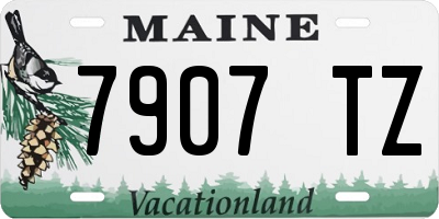 ME license plate 7907TZ