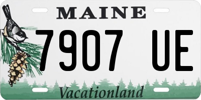 ME license plate 7907UE