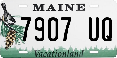 ME license plate 7907UQ