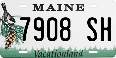 ME license plate 7908SH