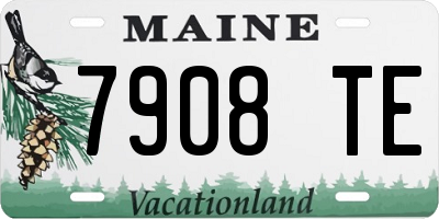 ME license plate 7908TE