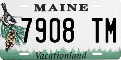 ME license plate 7908TM
