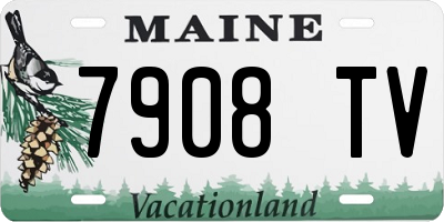 ME license plate 7908TV