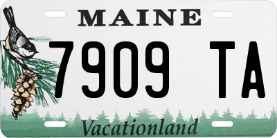 ME license plate 7909TA