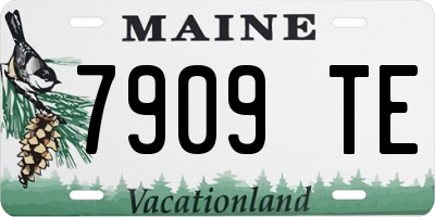 ME license plate 7909TE
