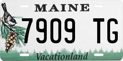 ME license plate 7909TG