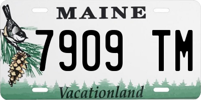 ME license plate 7909TM