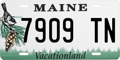 ME license plate 7909TN