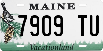 ME license plate 7909TU