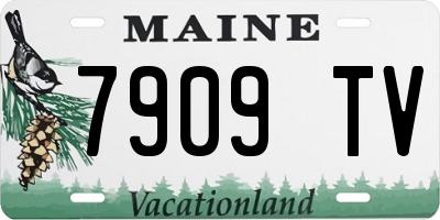 ME license plate 7909TV