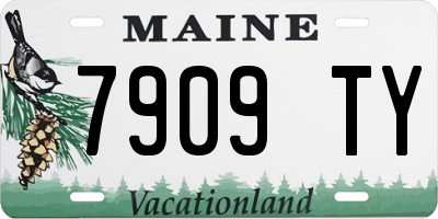 ME license plate 7909TY