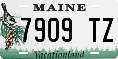 ME license plate 7909TZ