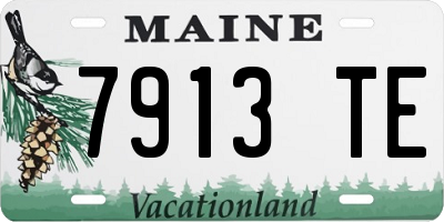 ME license plate 7913TE