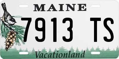 ME license plate 7913TS