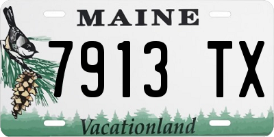 ME license plate 7913TX