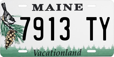 ME license plate 7913TY
