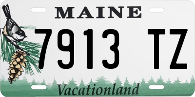 ME license plate 7913TZ