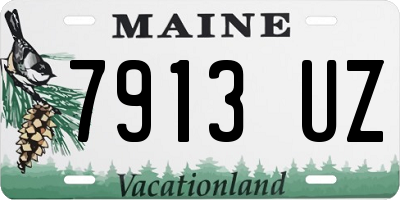 ME license plate 7913UZ