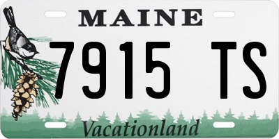 ME license plate 7915TS