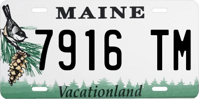 ME license plate 7916TM