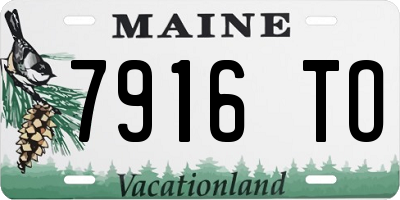 ME license plate 7916TO