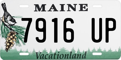 ME license plate 7916UP