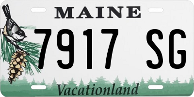 ME license plate 7917SG