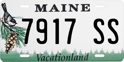 ME license plate 7917SS